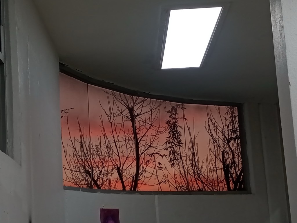 Nosotrificar el nosotros