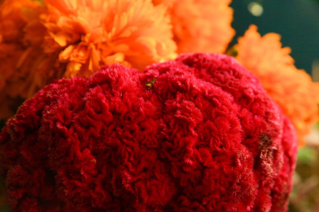 Todo recuerdo se llena de&nbsp;flores